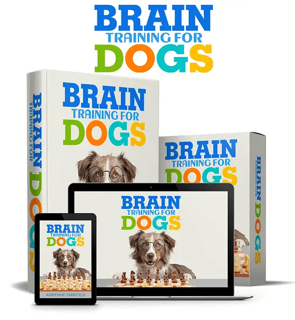 Brain Training for Dogs